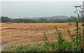 Farmland near Netherwitton