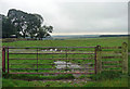 NZ0292 : Farmland near Rothley West Shield (1) by Stephen Richards