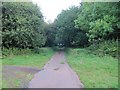 Farm track heading into The Paddock behind Holnicote House