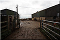 SZ4693 : Sticelett Farm near Gurnard by Ian S