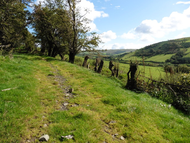Glyndwr's Way near Dolwen