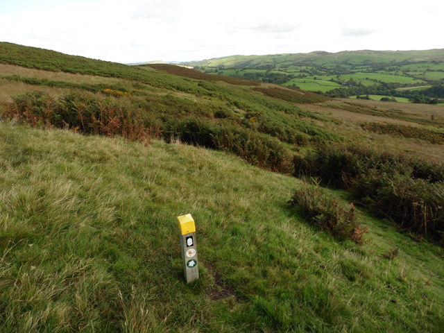 Glyndwr's Way near Pen Coed