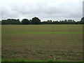 Farmland near Warrenhill Farm