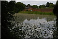 TL8160 : Ickworth: Gardens House seen across The Canal by Christopher Hilton