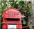 Letters Only