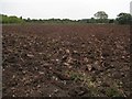 SO8742 : Ploughed field by Philip Halling