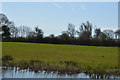 Field by the Chichester Canal