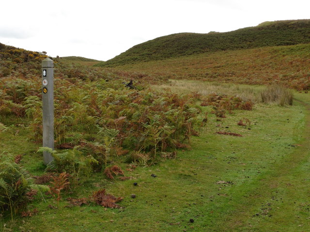 Glyndwr's Way near Allt Dolanog