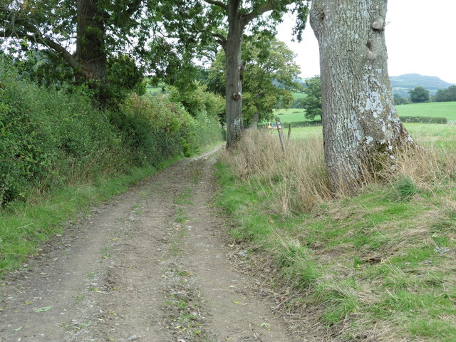 Glyndwr's Way near Pontrobert