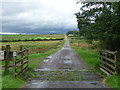 NZ0490 : Country road near Rothley Shield East (3) by Stephen Richards