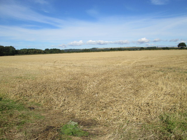 Near Fryton Grange © T Eyre :: Geograph Britain and Ireland