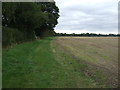 Farmland and hedgerow near Chestnut Tree Farm