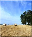 A Gathered Harvest near Much Wenlock