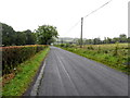 H2560 : Lack Road, Derryveone by Kenneth  Allen