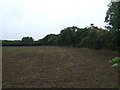 TM4064 : Farmland and hedgerow near Oak Tree Farm by JThomas