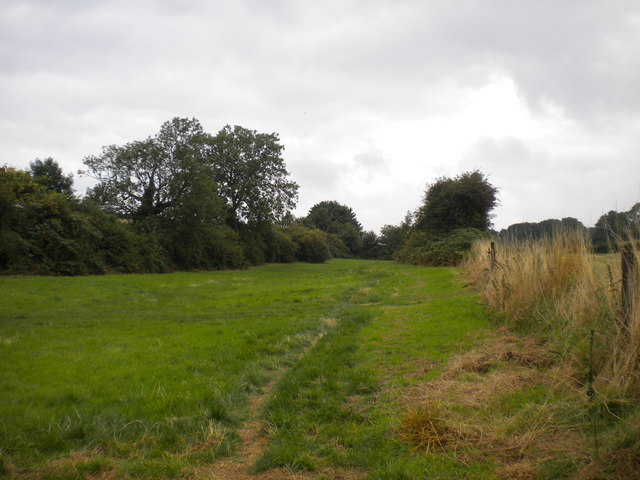 Footpath to Gedling Wood