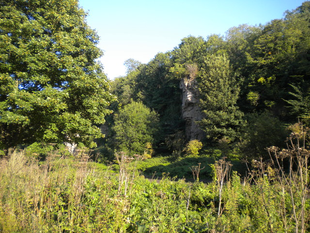 Southern cliffs, Creswell Crags (1)