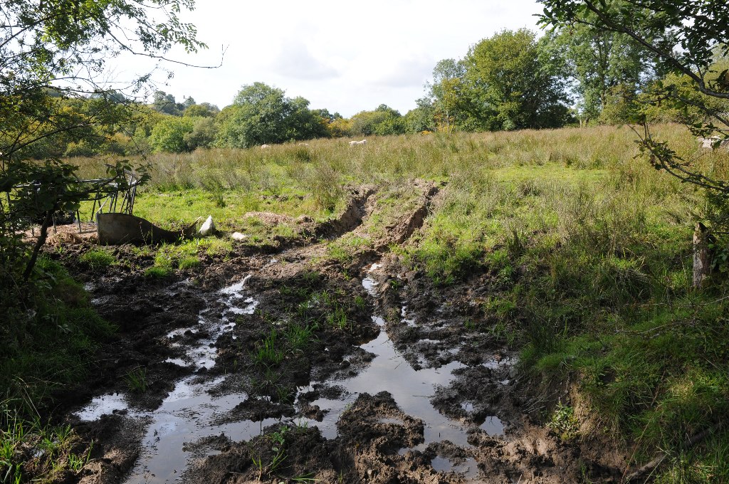 wet-boggy-land-philip-halling-geograph-britain-and-ireland