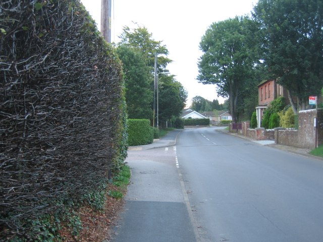 Severe hedge trim - Hill Road