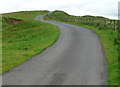 Country road near Forestburn Gate (5)