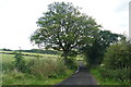 Country Lane near Disley