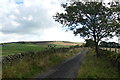 On the Gritstone Trail