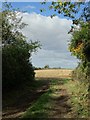 View to Lings Farm