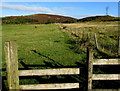 Public footpath, Varteg