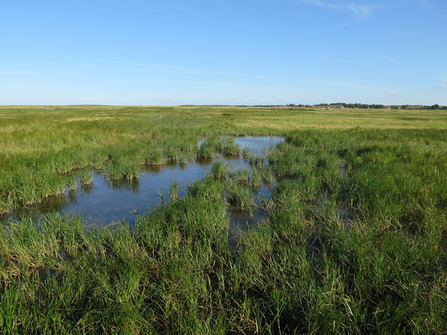 Norton Marsh © Hugh Venables :: Geograph Britain and Ireland