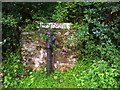 SN2910 : Old water pump - The Lacques Laugharne by welshbabe