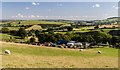 SJ1269 : Nant Coed-y-mynydd by Peter McDermott