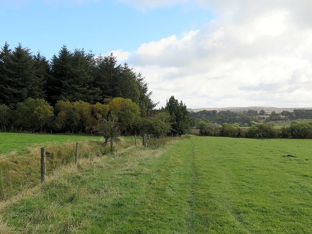 Course of Maiden Way Roman Road east of Kellah