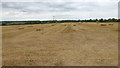 Large arable field to the north of Longslow