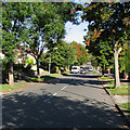 Bakersfield: up Douglas Avenue