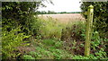 Public footpath from Mickley