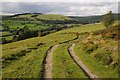 Track descending to Aberbowlan