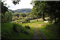 Footpath at Hafod Tafolog