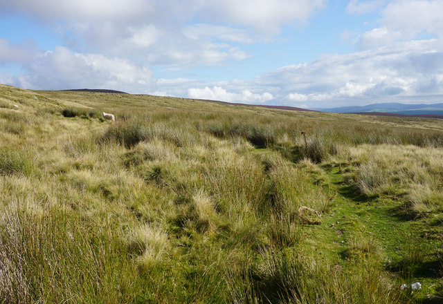 Moorland track on Pen Bwlch y Garnedd © Bill Boaden cc-by-sa/2.0 ...