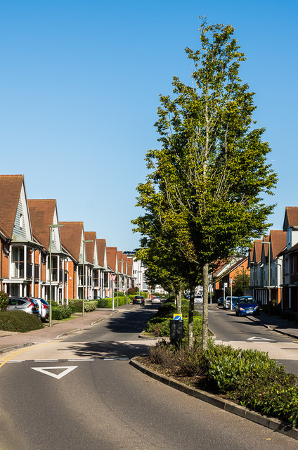 Holmesdale Avenue