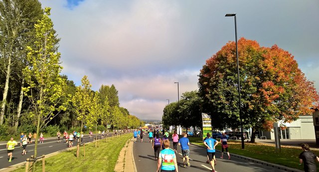 Lovely autumn day for a gentle jog out to Hillsborough and back