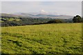 View to the Black Mountain