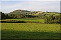 View across the Tywi/Towey valley