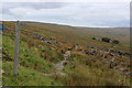SD8181 : Dales Way above Cam Woodlands by Chris Heaton