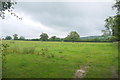 ST5558 : Field near Chew Valley lake by Nigel Mykura