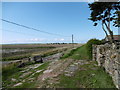 Path at Shellbeach