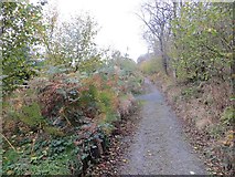 SO3383 : Path, Bury Ditches by Richard Webb
