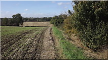SK4903 : Farmland near Desford by John Welford