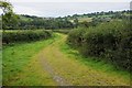 Track in the Cothi valley