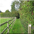 Footpath to Deadman