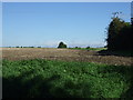 Farmland near Gislingham